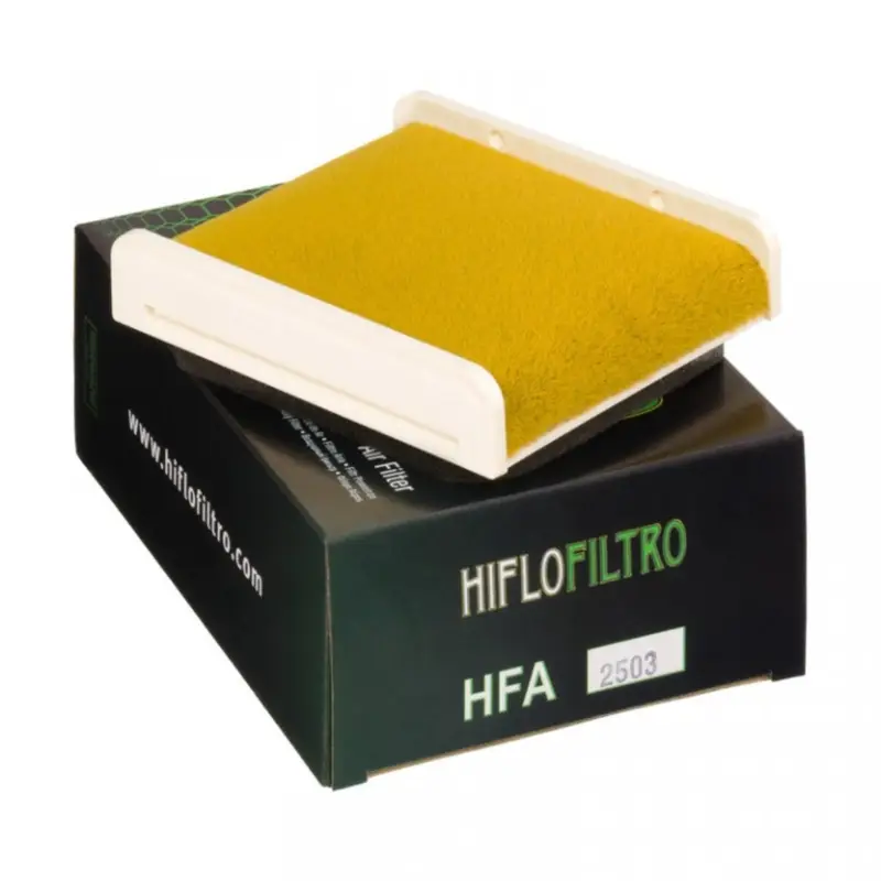 Vzduchový filtr HIFLOFILTRO HFA2503 Levný