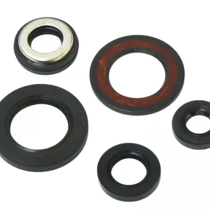 TOURMAX sada těsnění motoru YAMAHA SZR 660 95-97, XT 600E 96-99 vyrobeno v Japonsku Sezónní Sleva