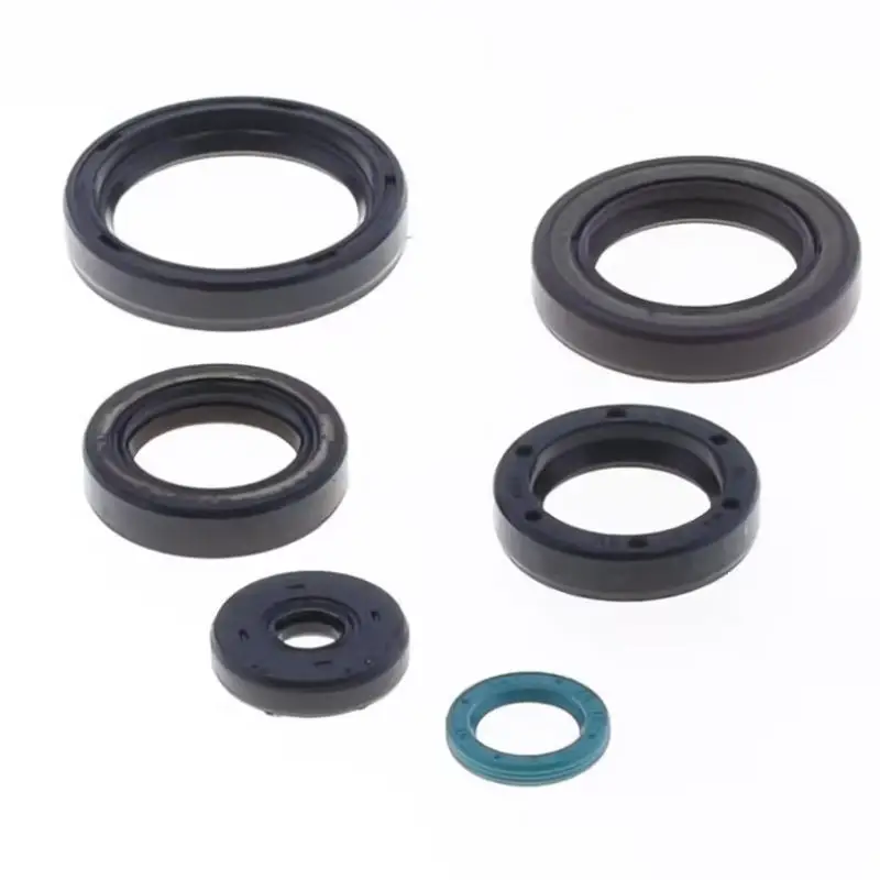 Ověřený ATHENA sada gufer motoru TM EN / MX 250 / 300 15-18